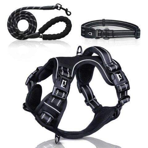 dog-harness-set-black