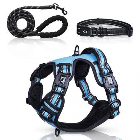 dog-harness-set-blue