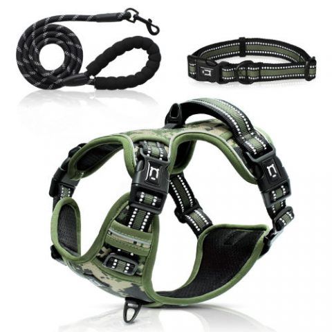 dog-harness-set-camo-green2