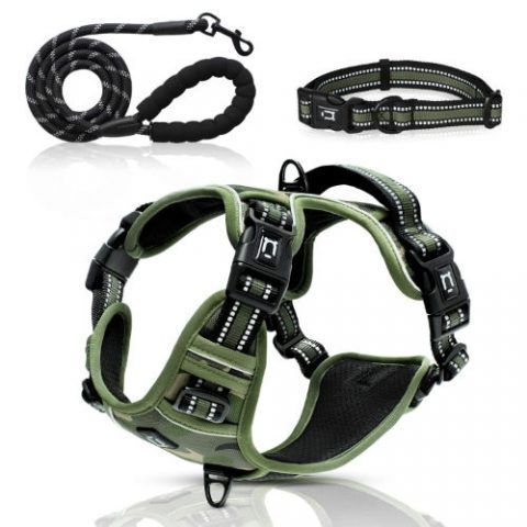 dog-harness-set-camo-green3