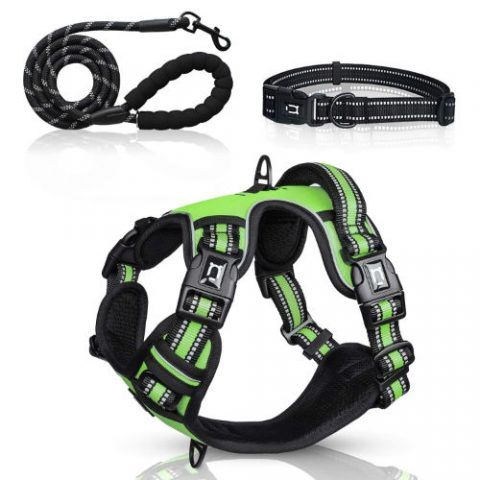 dog-harness-set-green