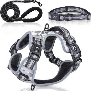 kit Arnés antitirones para perro