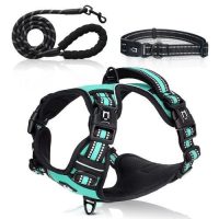 dog-harness-set-aqua-green